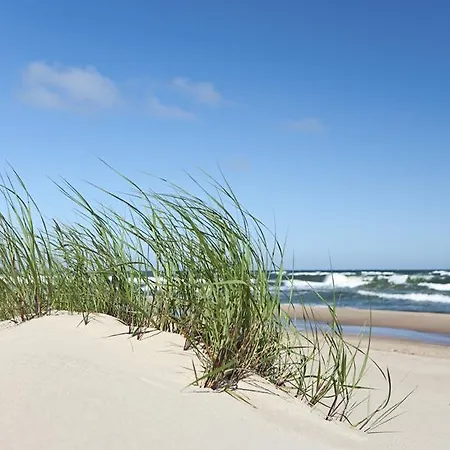 Elija Апартаменты *